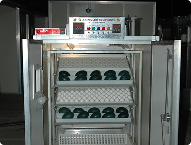 Emu Egg Incubator